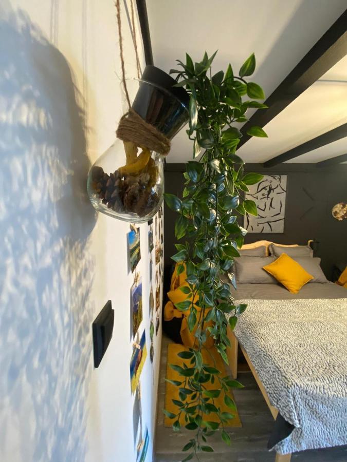 Night Lotus Apartment ฮูเนโดอารา ภายนอก รูปภาพ