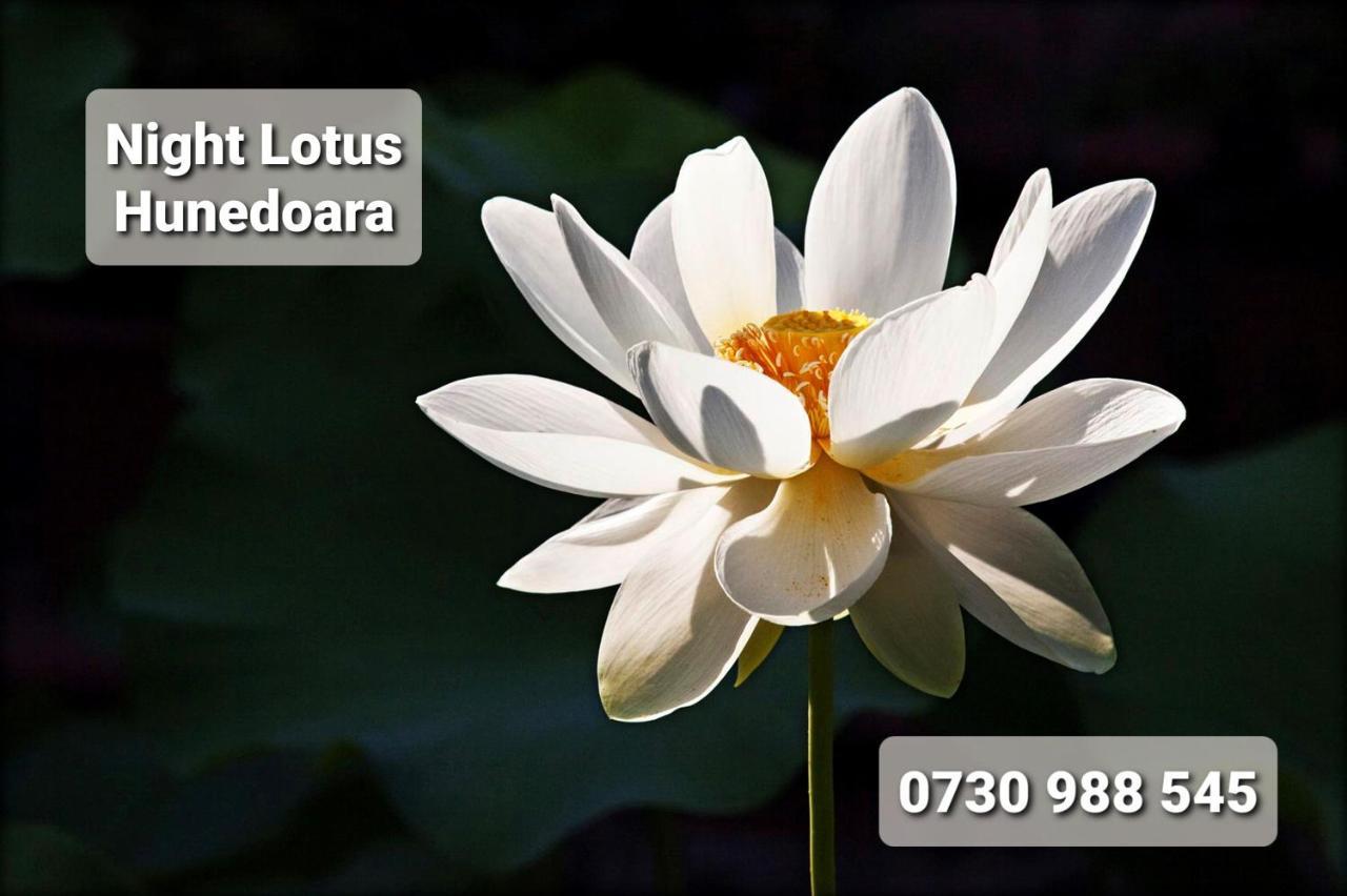 Night Lotus Apartment ฮูเนโดอารา ภายนอก รูปภาพ